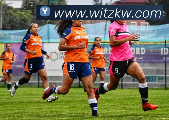 冠竞体育官网发展历程