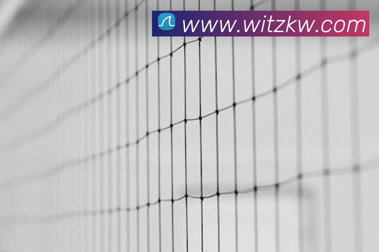 从张家口冬奥会看中国冰雪运动发展：基础设施如何惠及大众？